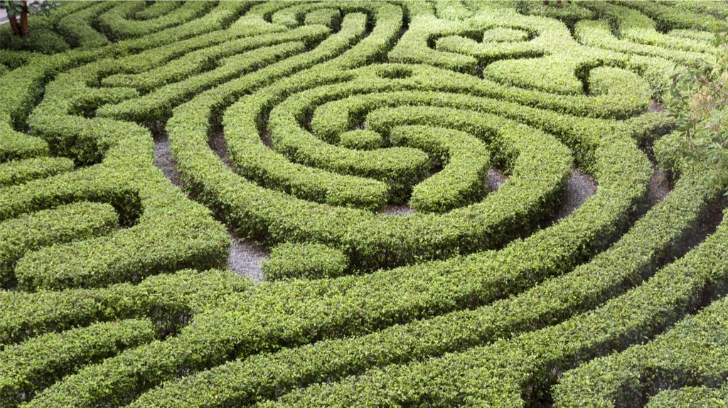A garden maze.