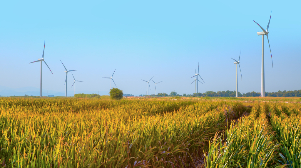 Wind mills in a field, showcasing renewable energy systems.